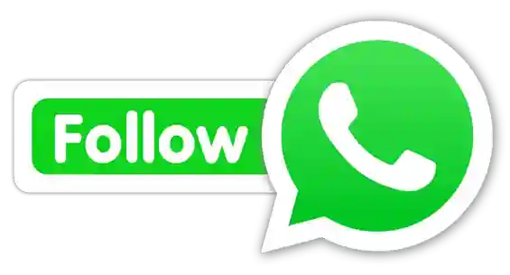 Colour Trading WhatsApp